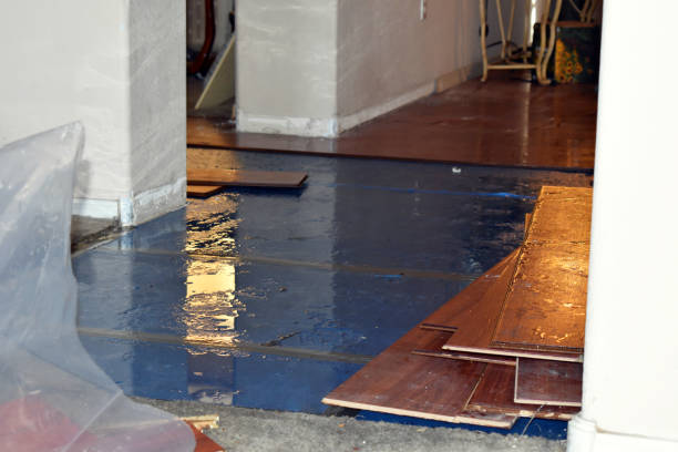 Professional Flood Damage Restoration technician working in Arlington, VA